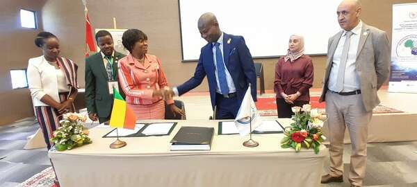 Intelligence Artificielle, la Transition Numérique, l’Énergie et la Connectivité en Afrique : Perspectives de Coopération Internationale